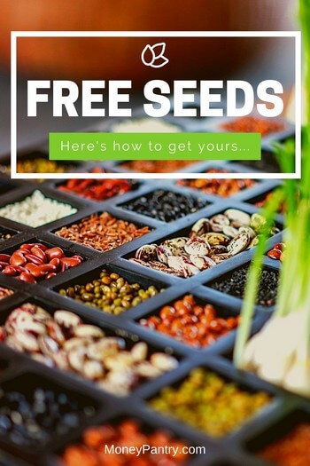 Agregue y haga crecer su jardín solicitando semillas gratis de estos lugares (¡incluido el gobierno!)...
