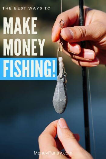 Aquí hay formas simples de ganar dinero con la pesca...