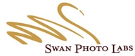 Logotipo de la foto del cisne