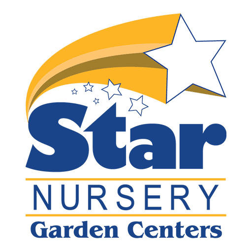 Logotipo de Star Nursery