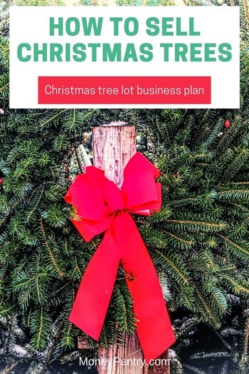 Aquí hay una guía rápida sobre cómo vender árboles de Navidad en estas fiestas y ganar dinero...