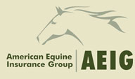 Logotipo de American Equine Insurance Group