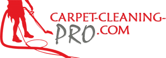 Logotipo profesional de limpieza de alfombras