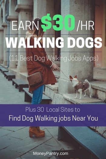 ¿Te encantan los perros?  Estas aplicaciones (y sitios web locales) facilitan ganar dinero paseando perros (¡sin importar dónde vivas!)